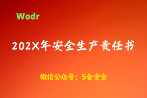 【wodr】202X年安全生产责任书